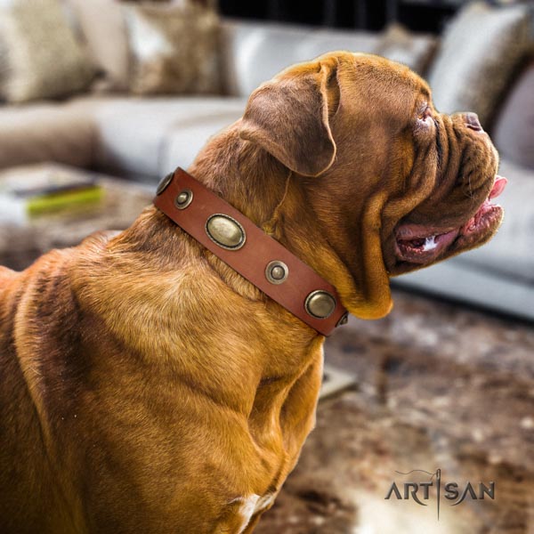 Dogue de Bordeaux exceptional full grain genuine leather collar for comfy wearing