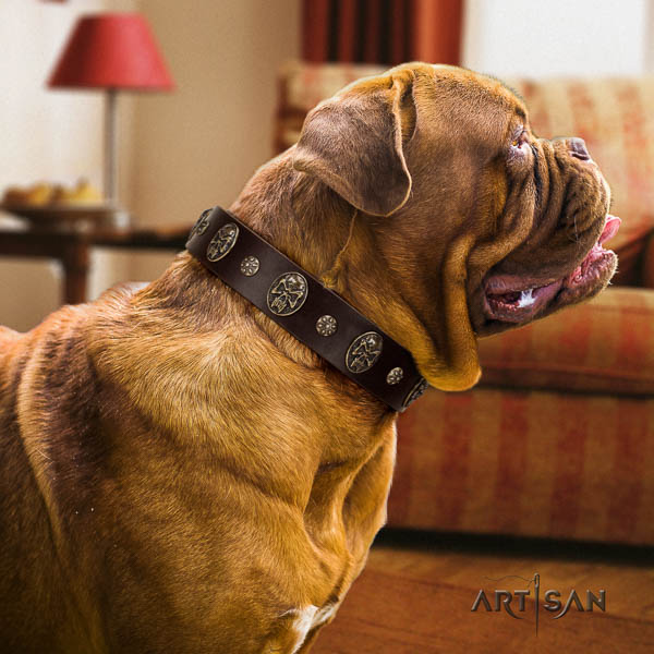 Dogue de Bordeaux decorated full grain leather dog collar for your lovely pet