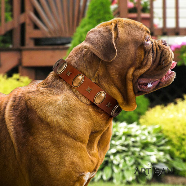 Dogue de Bordeaux studded full grain genuine leather dog collar for your handsome doggie