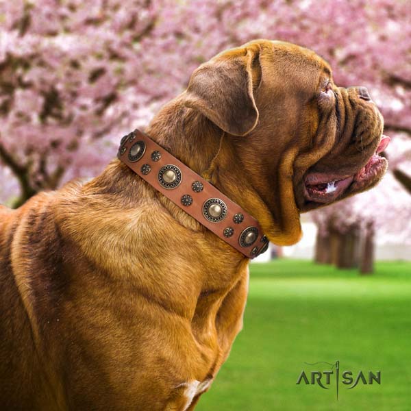 Dogue de Bordeaux amazing natural genuine leather collar for daily use