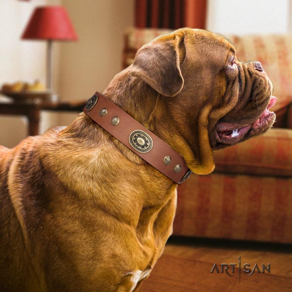 Dogue de Bordeaux exceptional natural genuine leather collar for handy use