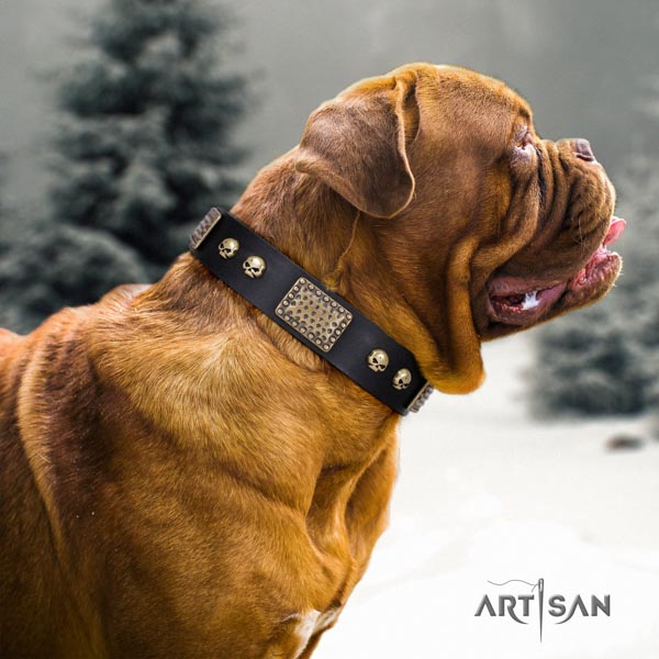 Dogue de Bordeaux remarkable natural genuine leather collar for comfy wearing