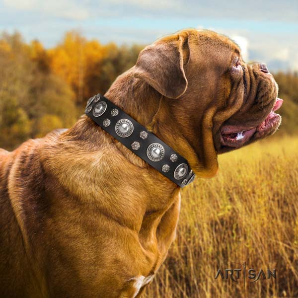 Dogue de Bordeaux unique full grain genuine leather collar for comfortable wearing