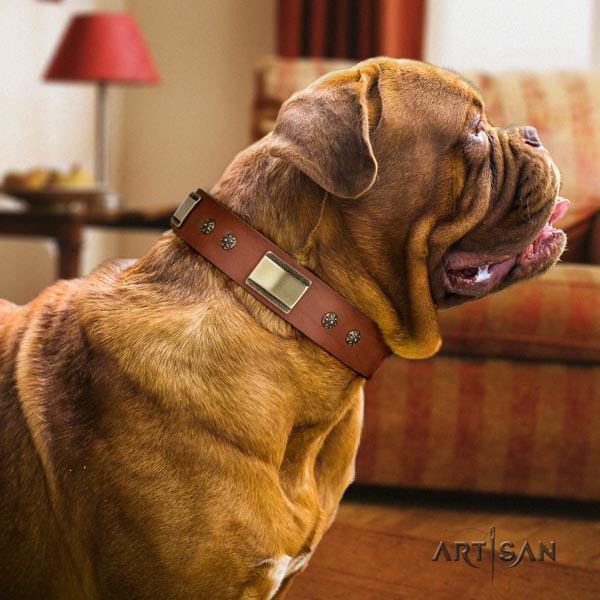 Dogue de Bordeaux exquisite natural genuine leather collar for walking