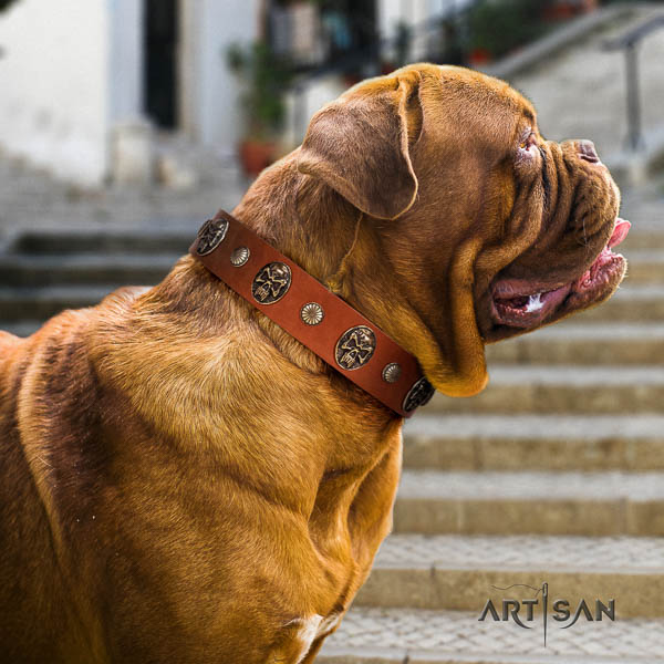 Dogue de Bordeaux adorned genuine leather dog collar for your handsome canine