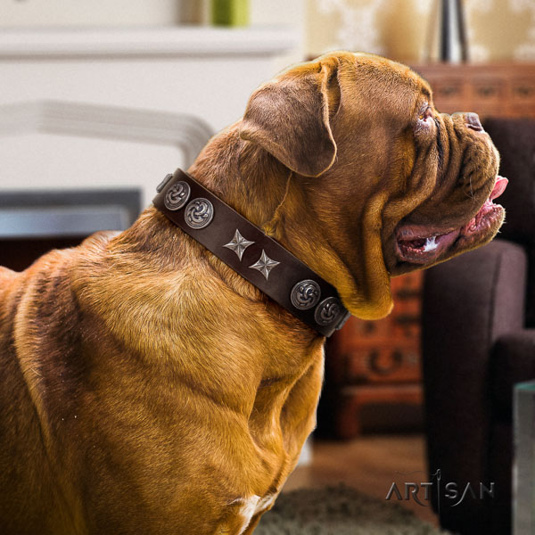 Dogue de Bordeaux adorned full grain leather dog collar for your impressive doggie