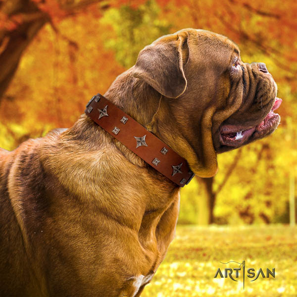 Dogue de Bordeaux decorated leather dog collar for your impressive four-legged friend