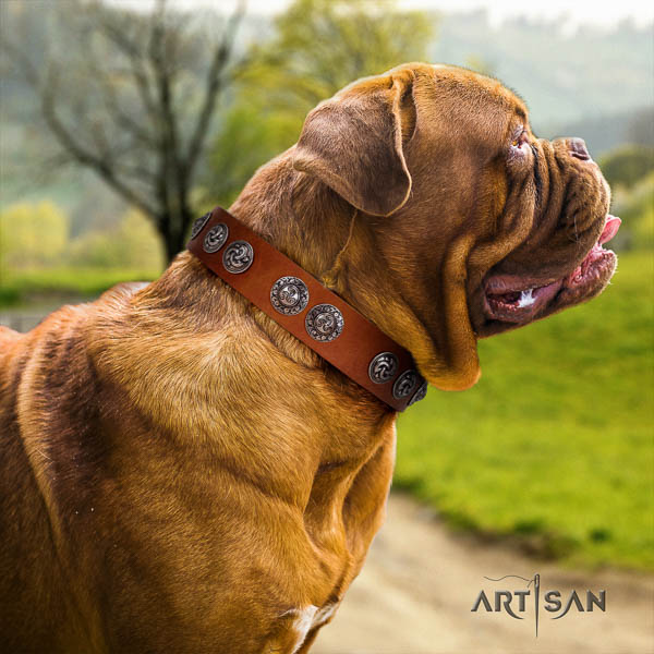 Dogue de Bordeaux embellished leather dog collar for your lovely doggie