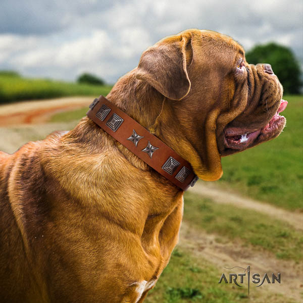 Dogue de Bordeaux decorated genuine leather dog collar for your handsome dog