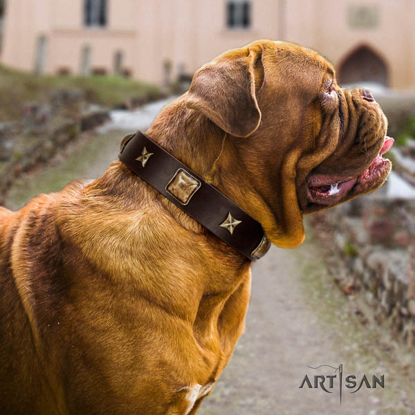 Dogue de Bordeaux studded full grain leather dog collar for your stylish four-legged friend