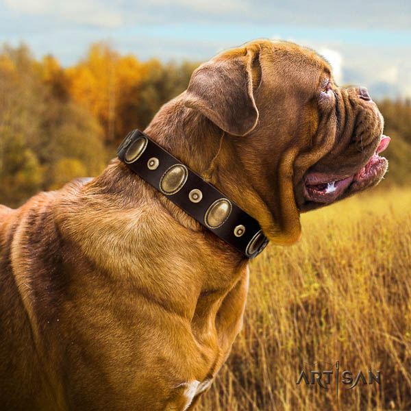 Dogue de Bordeaux decorated natural genuine leather dog collar for your beautiful doggie