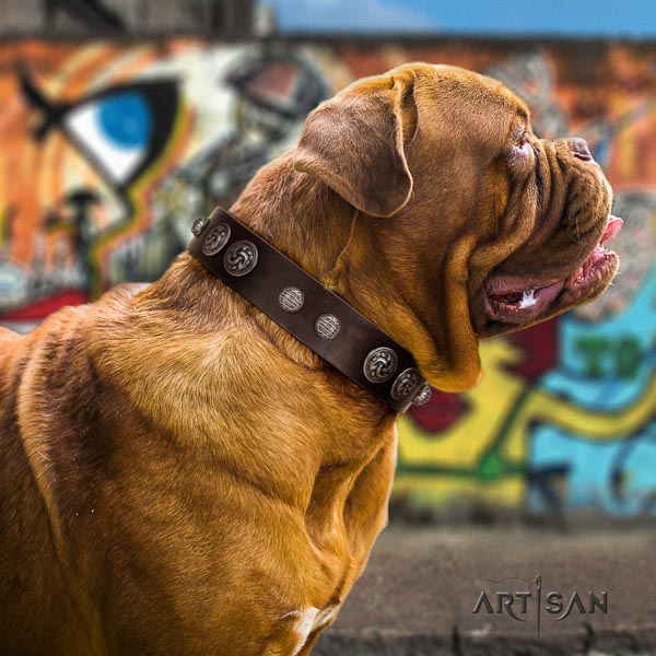 Dogue de Bordeaux decorated leather dog collar for your lovely pet