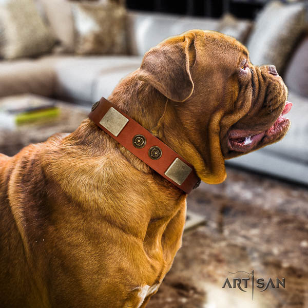 Dogue de Bordeaux adorned natural genuine leather dog collar for your beautiful four-legged friend