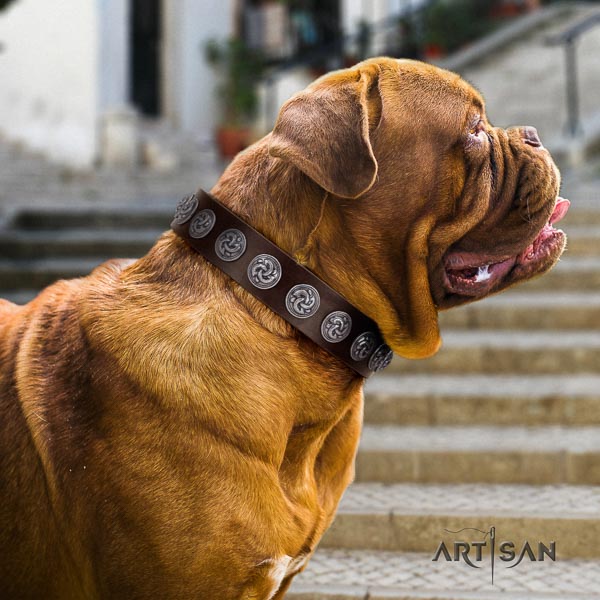 Dogue de Bordeaux full grain leather dog collar with decorations for your beautiful canine