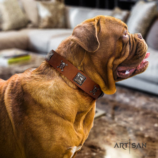 Dogue de Bordeaux decorated genuine leather dog collar for your lovely pet