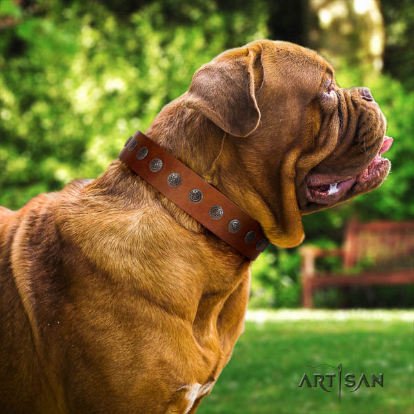 Dogue de Bordeaux adorned genuine leather dog collar for your lovely four-legged friend