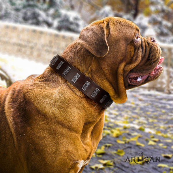 Dogue de Bordeaux full grain natural leather dog collar with decorations for your stylish doggie