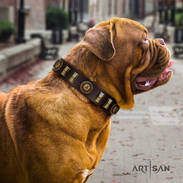 Dogue de Bordeaux decorated natural genuine leather dog collar for your handsome doggie