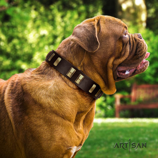 Dogue de Bordeaux decorated full grain natural leather dog collar for your beautiful doggie