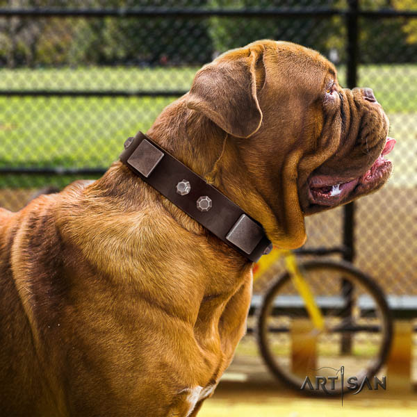 Dogue de Bordeaux embellished full grain leather dog collar for your attractive dog