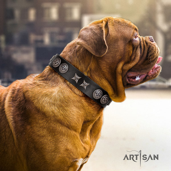 Dogue de Bordeaux decorated genuine leather dog collar for your stylish canine