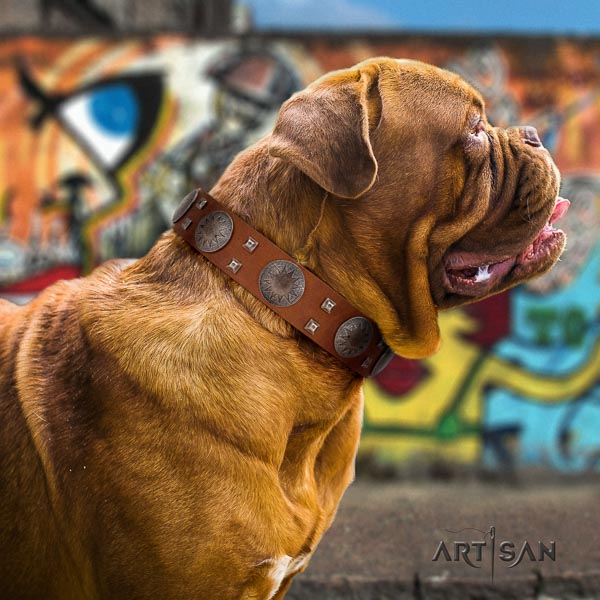 Dogue de Bordeaux studded full grain genuine leather dog collar for your beautiful dog