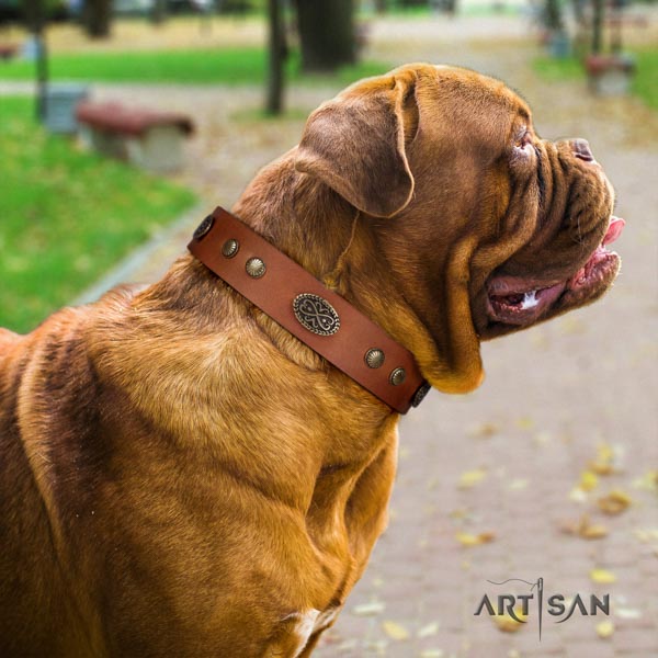 Dogue de Bordeaux exquisite natural genuine leather collar for stylish walking