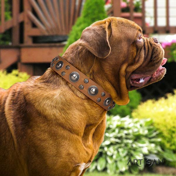 Dogue de Bordeaux unusual full grain genuine leather collar for easy wearing