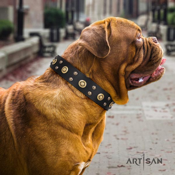 Dogue de Bordeaux fashionable full grain genuine leather collar for daily use