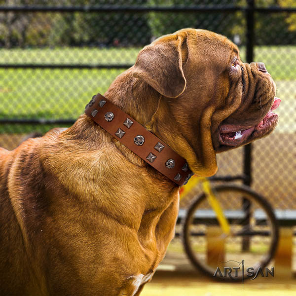 Dogue de Bordeaux studded full grain genuine leather dog collar for your lovely four-legged friend