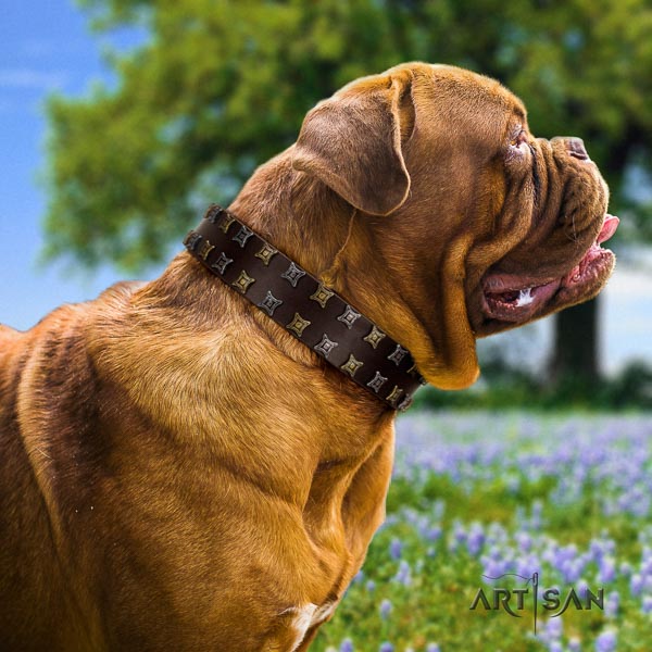 Dogue de Bordeaux studded genuine leather dog collar for your stylish four-legged friend