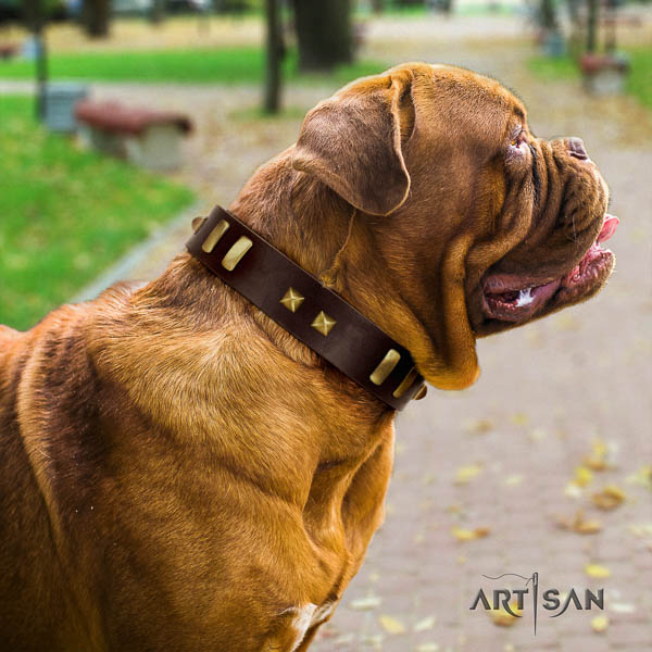 Dogue de Bordeaux embellished full grain leather dog collar for your beautiful pet