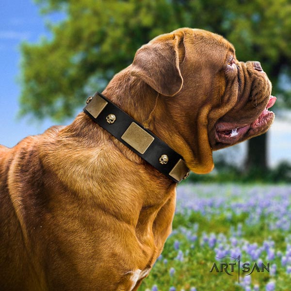 Dogue de Bordeaux decorated full grain leather dog collar for your beautiful four-legged friend