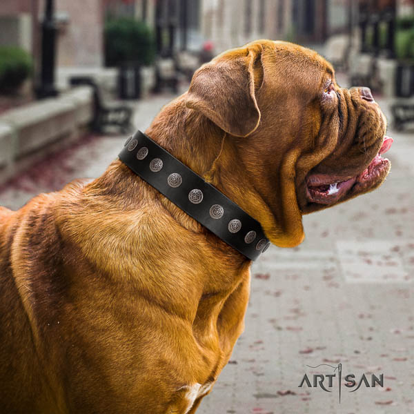 Dogue de Bordeaux decorated natural genuine leather dog collar for your beautiful canine