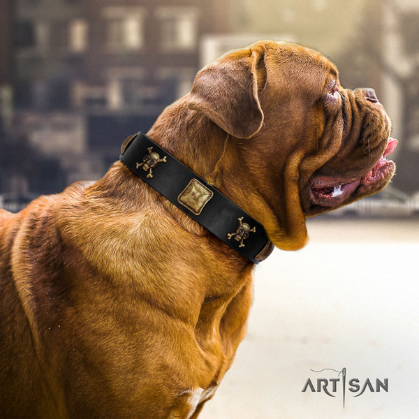 Dogue de Bordeaux studded full grain natural leather dog collar for your beautiful canine