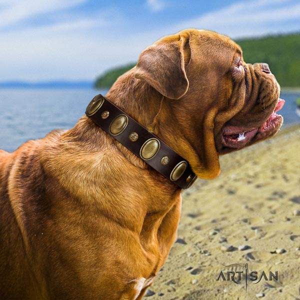 Dogue de Bordeaux embellished natural genuine leather dog collar for your lovely pet