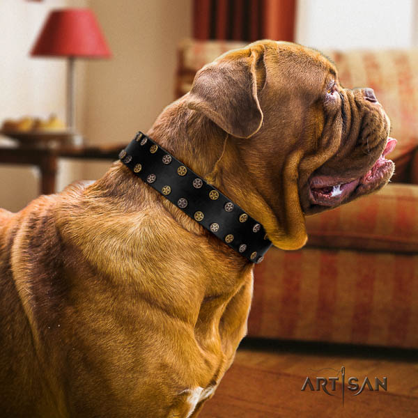 Dogue de Bordeaux decorated full grain leather dog collar for your stylish doggie