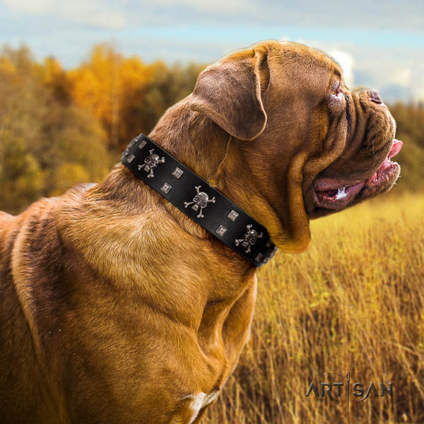 Dogue de Bordeaux decorated full grain natural leather dog collar for your stylish doggie