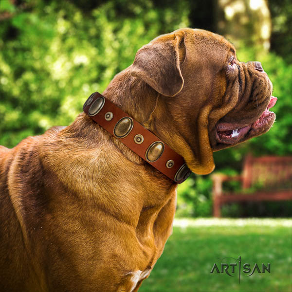 Dogue de Bordeaux adorned full grain leather dog collar for your beautiful pet