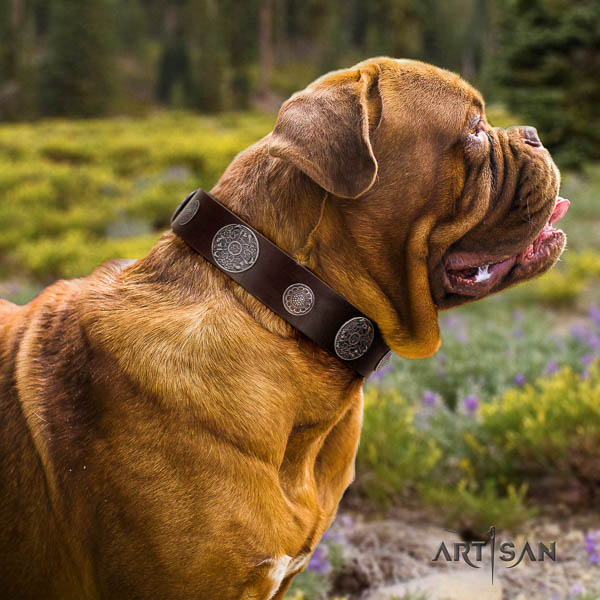 Dogue de Bordeaux studded natural genuine leather dog collar for your stylish pet