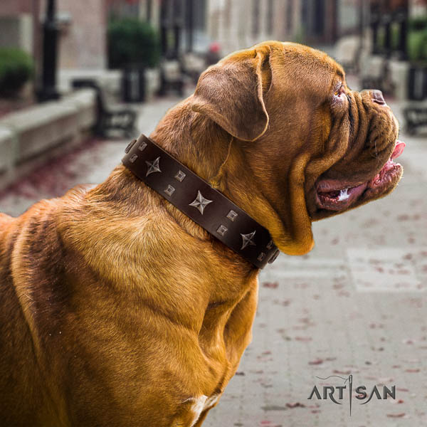 Dogue de Bordeaux embellished full grain leather dog collar for your impressive canine