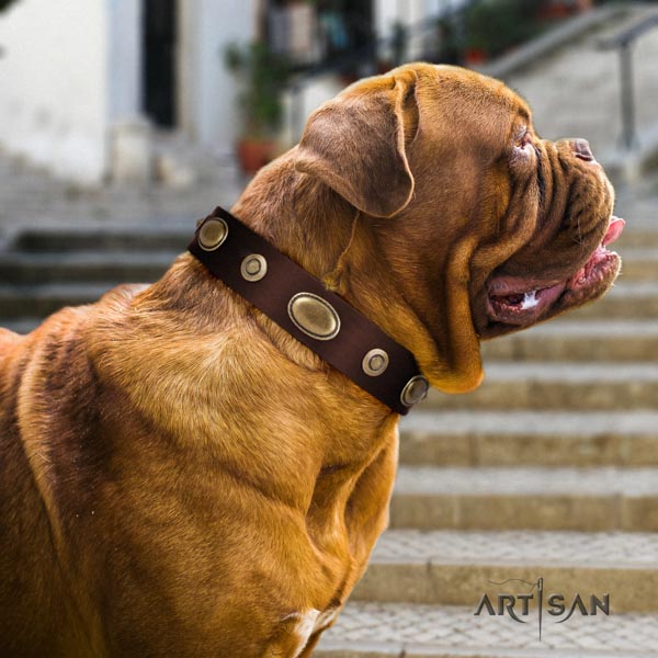 Dogue de Bordeaux designer full grain leather collar for handy use