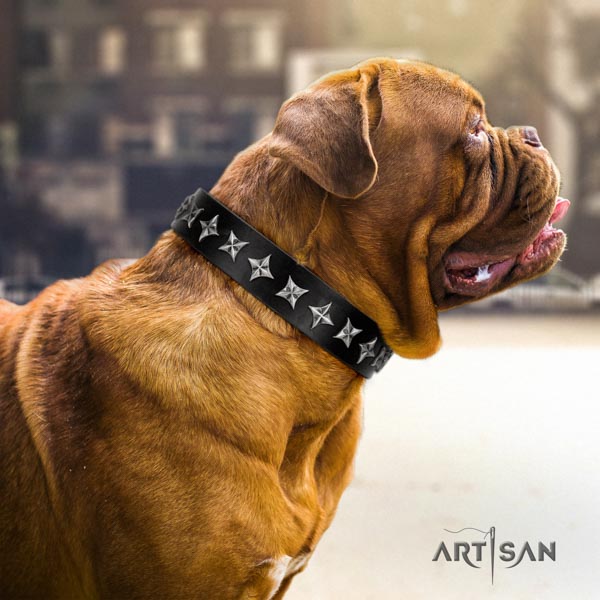 Dogue de Bordeaux designer full grain leather collar for basic training