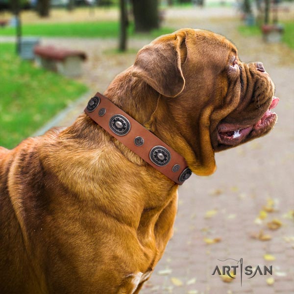 Dogue de Bordeaux exquisite full grain leather collar for comfy wearing