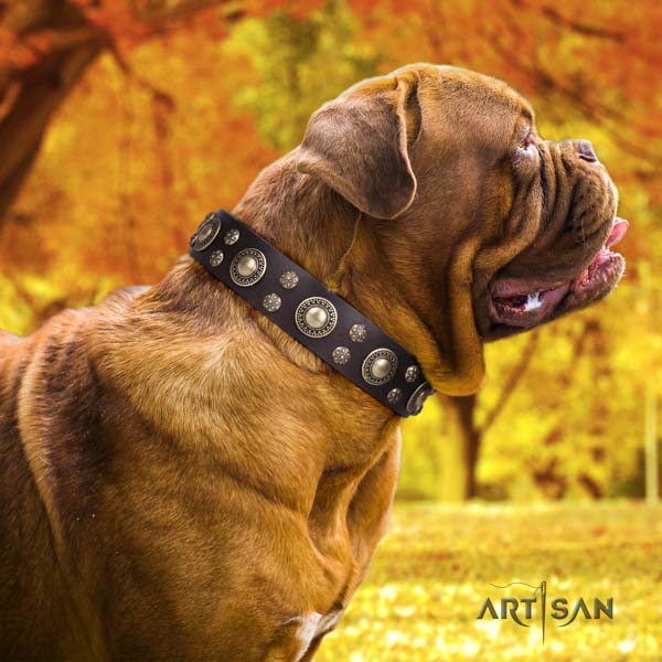 Dogue de Bordeaux stunning leather collar for daily use