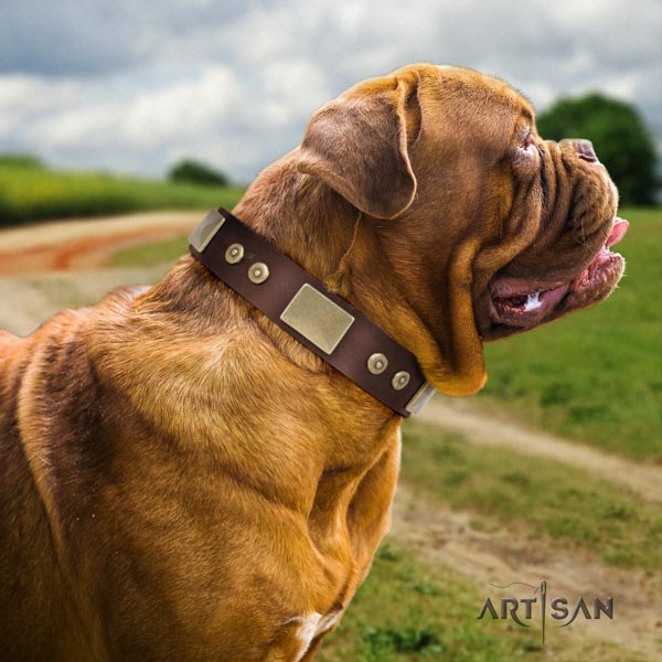 Dogue de Bordeaux amazing natural genuine leather collar for fancy walking