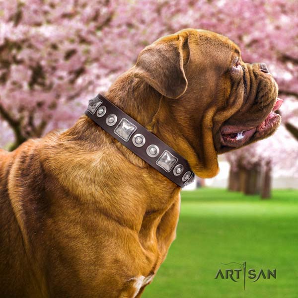 Dogue de Bordeaux exquisite natural genuine leather collar for comfortable wearing