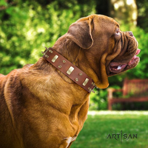 Dogue de Bordeaux significant natural genuine leather collar for easy wearing