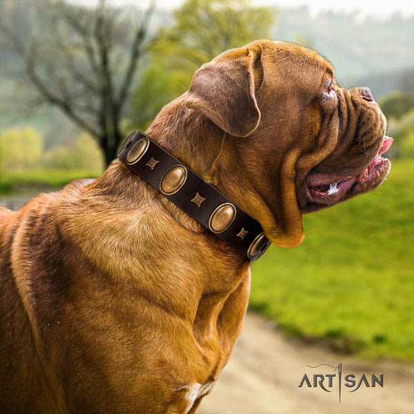 Dogue de Bordeaux studded full grain natural leather dog collar for your attractive four-legged friend