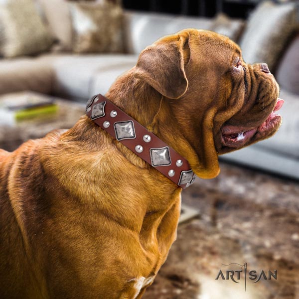 Dogue de Bordeaux trendy full grain natural leather collar for walking